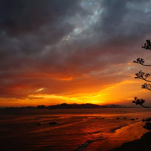 美女流出尿来黄片
